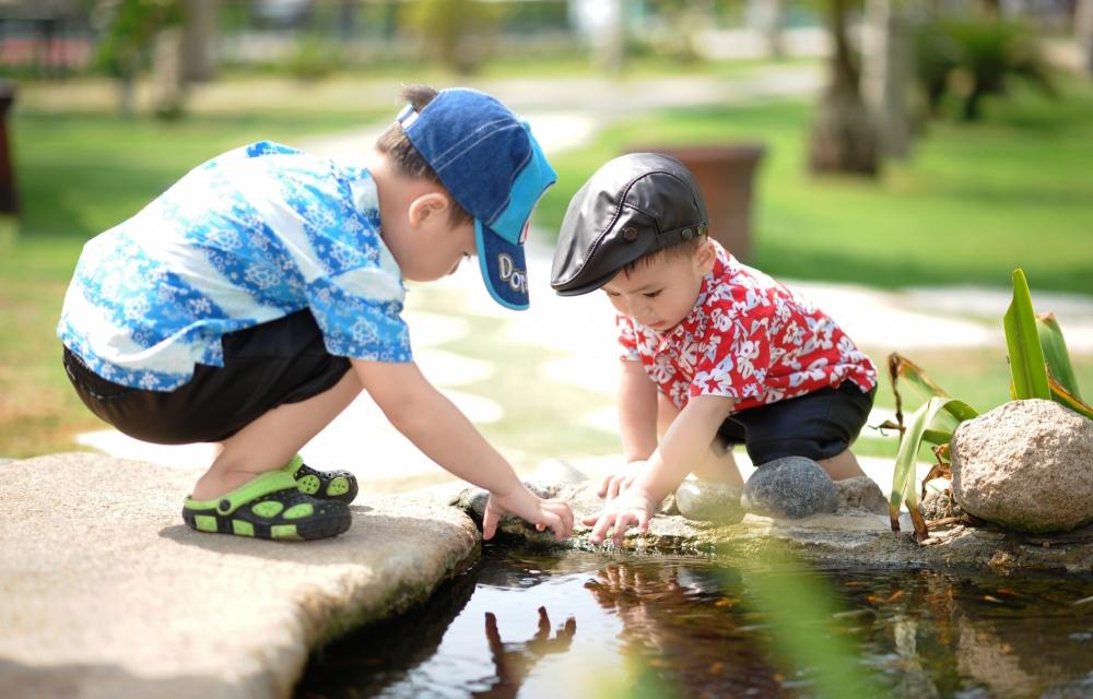 The Weekend Leader - Living near woodlands good for children: Study